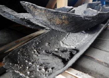 Рідкісну знахідку покажуть на Волині – човен-довбанку