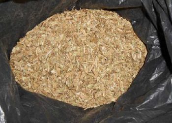 Українців судять у Польщі за контрабанду іспанського гашишу до Росії