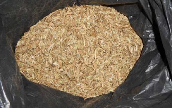 Українців судять у Польщі за контрабанду іспанського гашишу до Росії