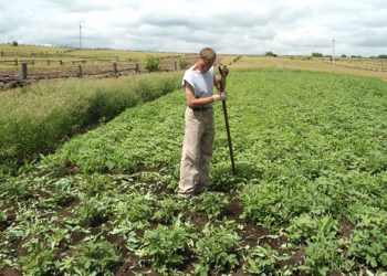 На українців влітку чекають вдвічі довші вихідні