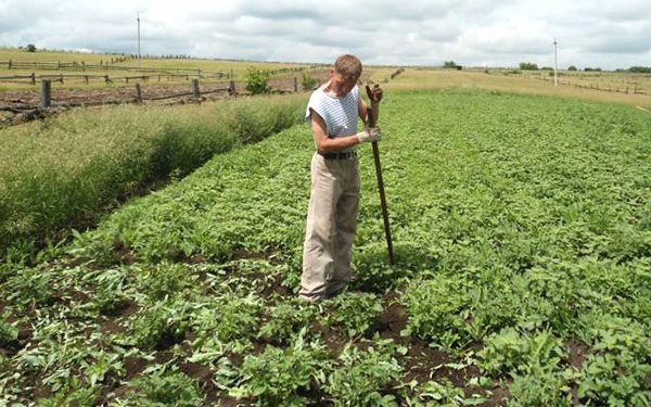 На українців влітку чекають вдвічі довші вихідні