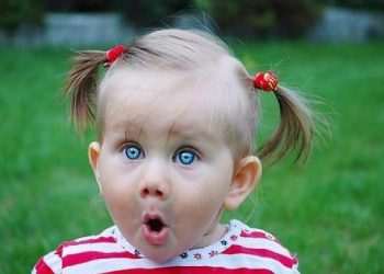 Із підручників хочуть викинути жидів, циган і негрів