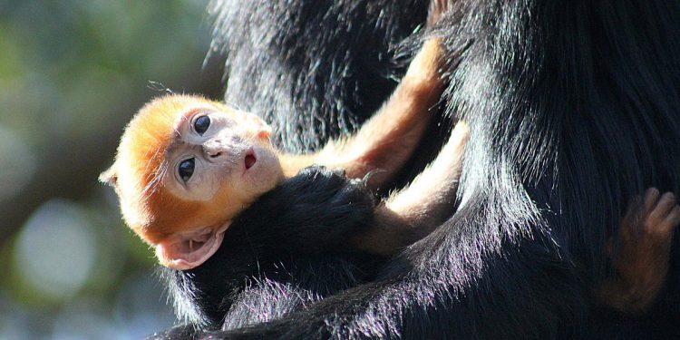 Із 1 липня зростають виплати для сімей з дітьми