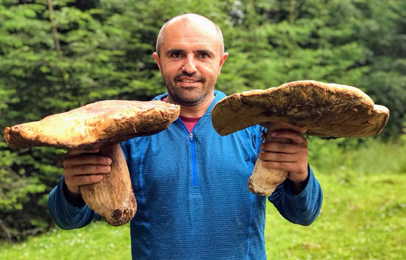 Як парасолька: У Карпатах збирають велетенські гриби