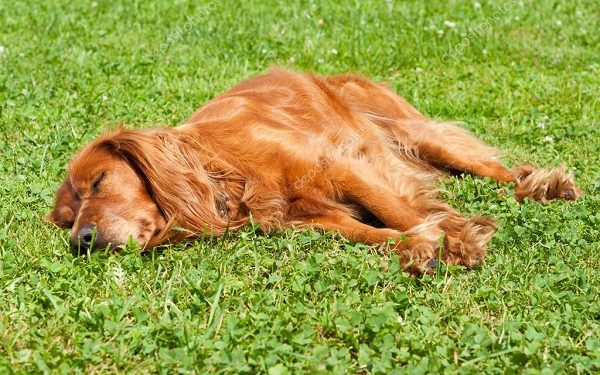 Розмір допомоги з безробіття на Тернопільщині становить 2146 грн