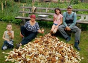 Наші сусіди встановлюють грибні рекорди
