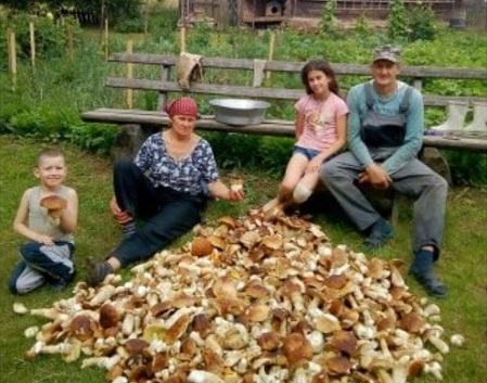 Наші сусіди встановлюють грибні рекорди