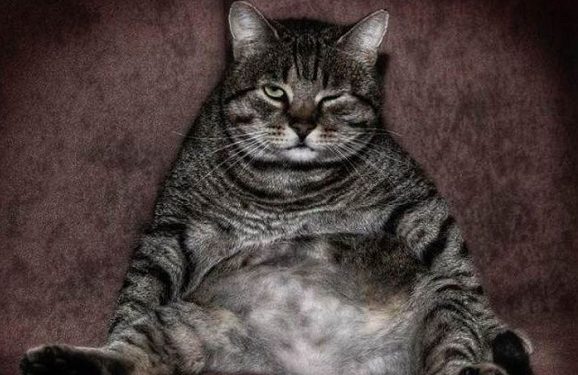 Третина жителів області – затовсті, кожен десятий – наджирний