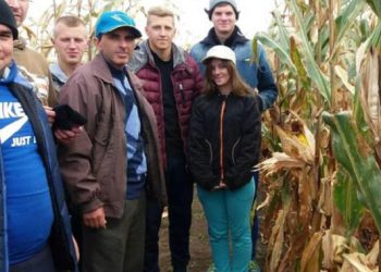 Студенти Заліщицького агроколеджу пішли у поле