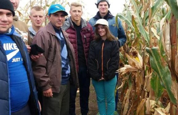 Студенти Заліщицького агроколеджу пішли у поле