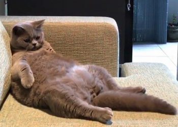 Кажуть, зарплата тернополян за рік зросла на 30%