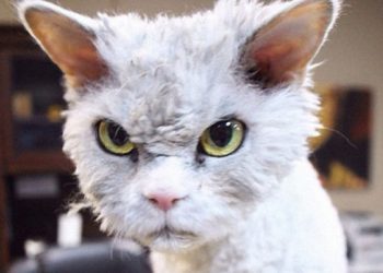 Кожен шостий заробітчанин може мати проблеми з пенсією