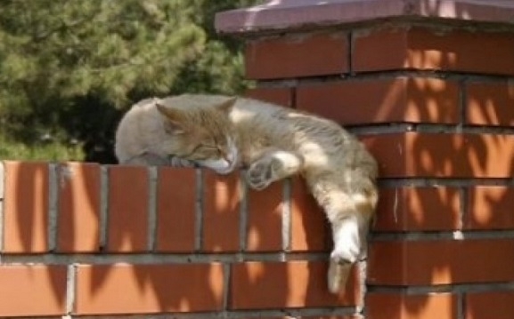 Молодь не йде на вибори: які наслідки це матиме для України