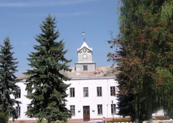 Депутат Зборівської районної ради приховав оборудки з авто, що й оштрафований