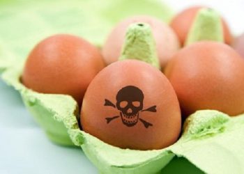 Як у Збаражі потруїли сальмонелою  17 дошкільнят