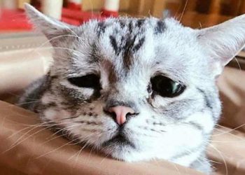 Лікарі назвали поширені помилки при лікуванні нежиті