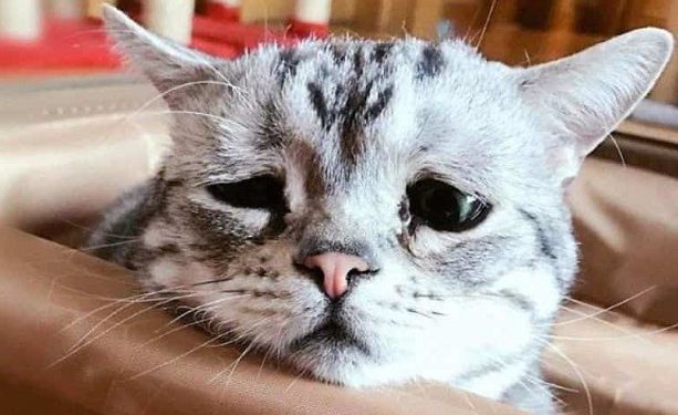 Лікарі назвали поширені помилки при лікуванні нежиті