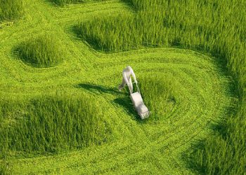 Тернопільські аграрії попереду в Україні