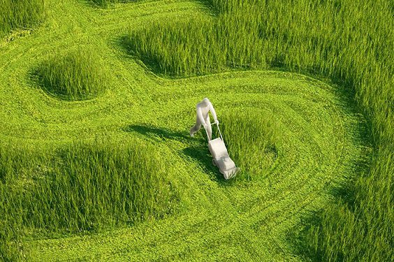 Тернопільські аграрії попереду в Україні