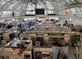 Голова Тернопільської обласної ради виїхав за кордон