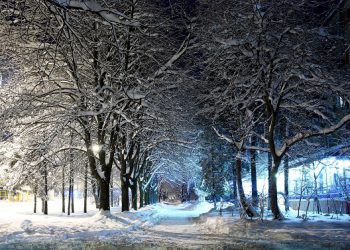 ПОГОДА на вихідні: морози на заході України трохи відступлять, місцями - сильний сніг