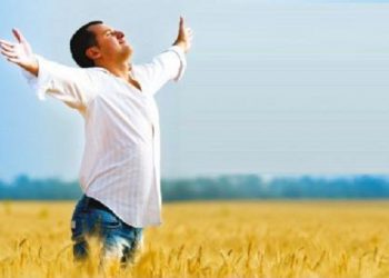 Вишнівецька громада розбагатіла на майно вартістю півмільйона