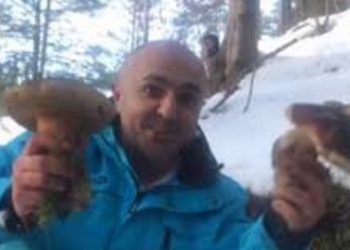 Гриби з під снігу, фото Еспрессо ТВ