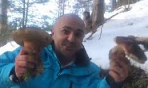 Гриби з під снігу, фото Еспрессо ТВ