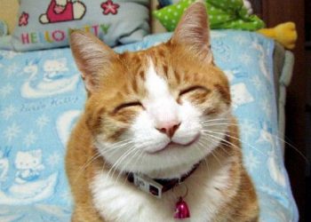 Тернополяни заробляють по 4454 грн, витрачають по 4198. Де решта?