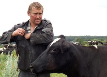 Тернопільські переробники молока недолюблюють селян