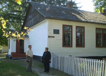 Ігор Лікарчук: над сільськими школами занесена сокира