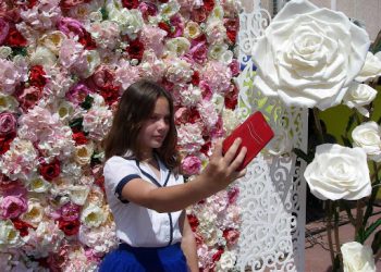 квіти