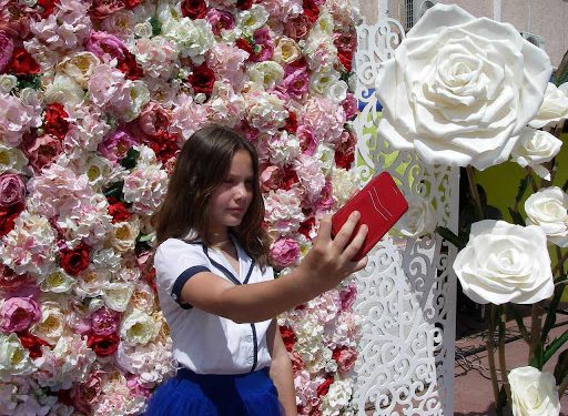 квіти