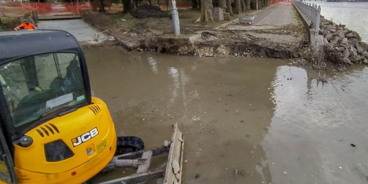 колектор в парку