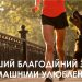 пси