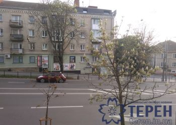 дерева цвітуть