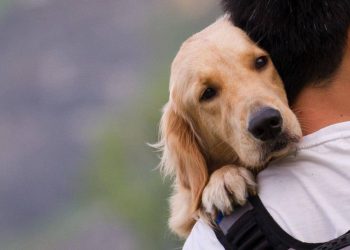 друг людини