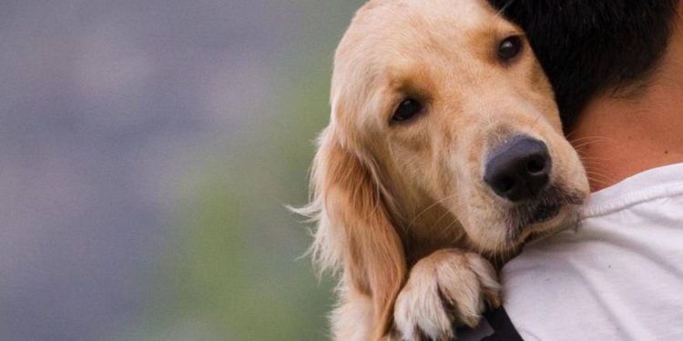 друг людини