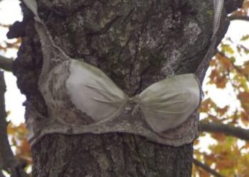 бюстгальтер