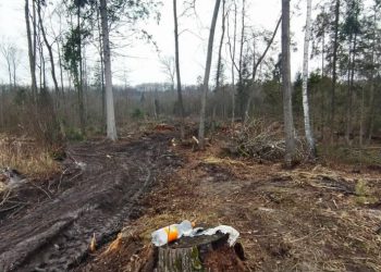 На кременеччині