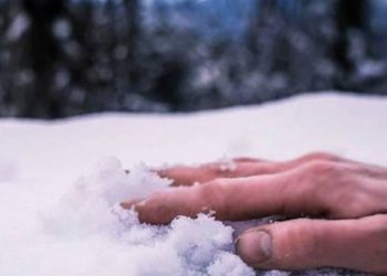 замерзає взимку