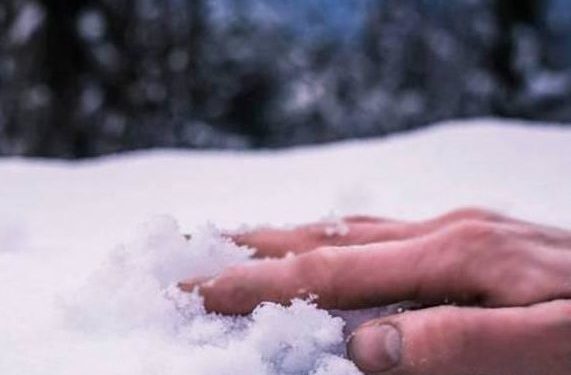 замерзає взимку