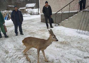 серед міста