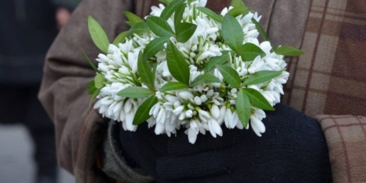 Екологічна інспекція застерігає від купівлі первоцвітів