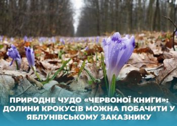 розцвіли
