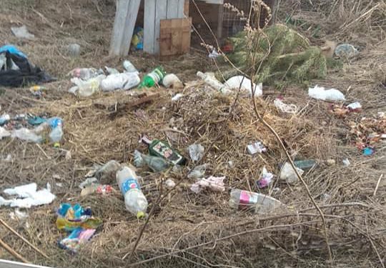 на пасовищі