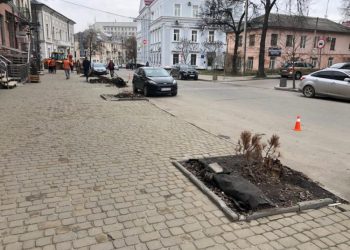 висадять клени