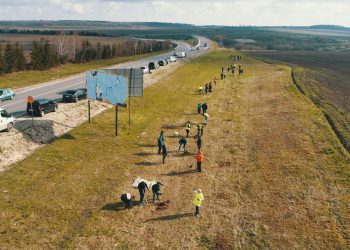 посадили дерева