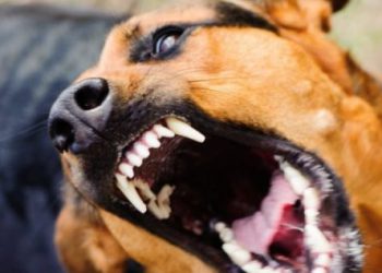 напав на жінку