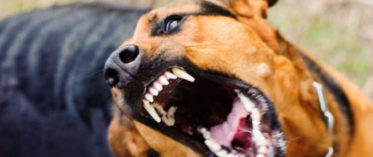 напав на жінку